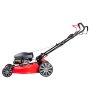 Газонокосилка бензиновая самоходная с двигателем FUBAG Honda FPL 56 SMH в Новосибирске фото