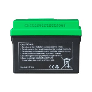 Аккумулятор FUBAG li-ion 3Ah для инверторного генератора TI 11000 A ES (арт. 646211) купить в #REGION_NAME_DECLINE_PP#